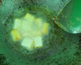 Foto langkah ke 5 dari resep 010 Tahu Crispy.