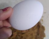 عکس مرحله 3 از دستور کوفته لپه solmaz