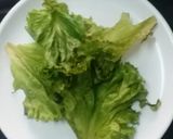 A picture of step 9 of Salad summer delight from veggie and fruit garden.