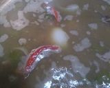 Foto del paso 2 de la receta: Lentejas al natural