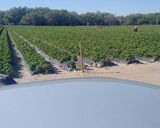 A picture of step 1 of From the fields.