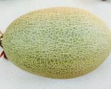 Hình bước làm 2 của món Lưới trời lồng lộng