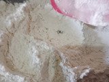 Filling coklat kelapa | isian roti coklat kelapa | isian bakpao | isian kuker