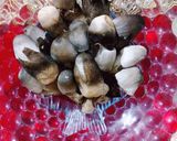A picture of step 1 of Chhatu Besara / Mushrooms in mustard & poppy seeds Curry.