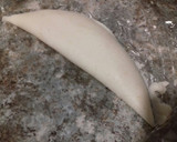 Foto del paso 6 de la receta: Empanadas venezolanas de queso