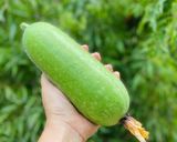 Hình bước làm 1 của món Canh Bí Chanh Nấu Tôm