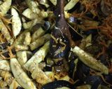 Foto del paso 3 de la receta: Escabeche de Berenjena al Vino Blanco