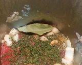Foto del paso 5 de la receta Arroz meloso con calamares con Thermomix