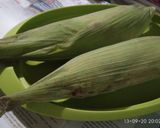 Foto langkah ke 1 dari resep Bolu Jagung Kukus.