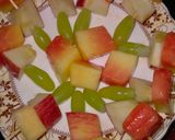 A picture of step 1 of Papaya chat.
