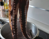 Foto del paso 1 de la receta: Pulpo sobre crema de patatas