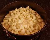 Apple Crumb Cake recipe step 13 photo