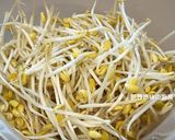 A picture of step 1 of Korean-Style Cold Soybean Sprout Salad.