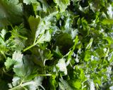 A picture of step 1 of Coriander & Garlic Chutney.