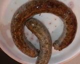 Foto del paso 1 de la receta Alubias estofadas con butifarra