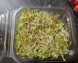 Foto del paso 2 de la receta: Ensalada variada con brotes de alfalfa y brócoli