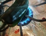 Foto del paso 2 de la receta: Rollo de chile poblano hojaldrado
