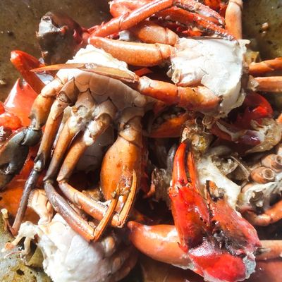 Langkah 4