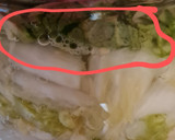 Foto del paso 6 de la receta: Fermentado de akusai o col china 🥬 (entre el kimchi y el chucrut, mi fermentado) 🥬