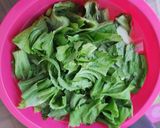 Foto langkah ke 1 dari resep Kua Chai Pui samcan goreng/Mustard Greens Rice/Nasi Sawi Pahit.