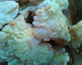 Foto langkah ke 7 dari resep Jamur krispi simple.