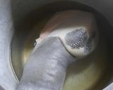 Foto del paso 2 de la receta: Lengua a mi manera