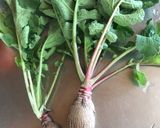 Foto del paso 1 de la receta: Ensalada con hojas de rábano