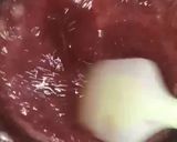 A picture of step 6 of Falsa ice cream.