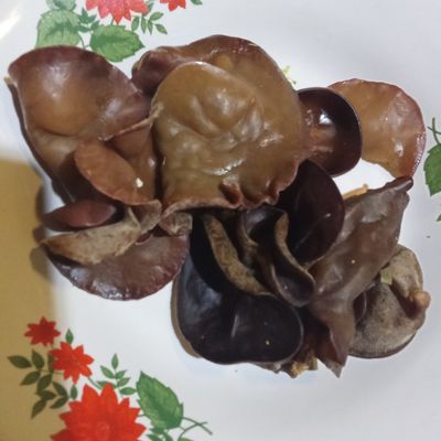 Langkah 1
