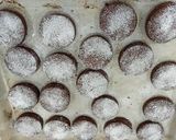 Foto del paso 8 de la receta: Mantecados de chocolate 🎄🍫