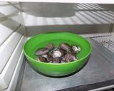 Foto del paso 3 de la receta: Almejas, mejillones al disco