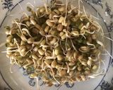 A picture of step 3 of California Farm Indoor Mung Bean Sprouts.
