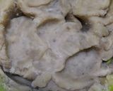 Foto langkah ke 3 dari resep Pilus.