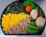 Japanese 3-color Bento (Sanshoku Bento) recipe step 7 photo