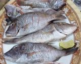 Foto langkah ke 1 dari resep Ikan bakar garing.