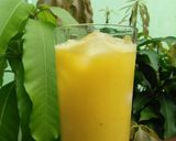 Foto langkah ke 4 dari resep Jus Marga (Markisa + Mangga).