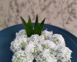 Foto langkah ke 6 dari resep Kelepon Pandan Asli.