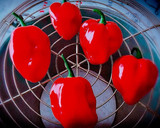 Foto del paso 1 de la receta: Salsa de habanero rojo con mango y cítricos 🔥🔥🔥🆘