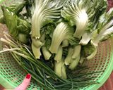 Hình bước làm 1 của món Dưa cải muối