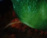 Foto del paso 8 de la receta: Dulce de Zanahorias Ruty