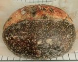 Foto langkah ke 25 dari resep Yin Yang Sourdough Bread (92% - Oven Tangkring).