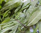 Foto del paso 1 de la receta: Ensalada refrescante veraniega