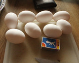 Foto del paso 10 de la receta: Carlonchos propios, torrejón de espinaca, verdoso y porreado