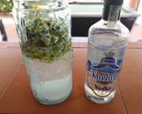 Foto del paso 2 de la receta: Licor de flores de manzanilla bio
