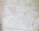 Foto del paso 4 de la receta: Capeletinis caseros