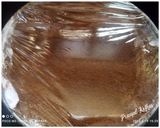 A picture of step 6 of Marie Biscuits Tiramisu.