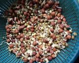 A picture of step 2 of Mix sprouts salads.