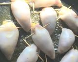 Foto del paso 2 de la receta: Calamares patagónicos rellenos en su tinta