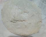 No-Knead Artisan Bread recipe step 3 photo