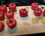 Foto del paso 1 de la receta: Rocotos rellenos